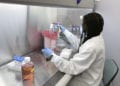 A Regeneron Pharmaceuticals scientist works in the company's Infectious Disease Lab in New York state, for efforts on an experimental coronavirus antibody drug.