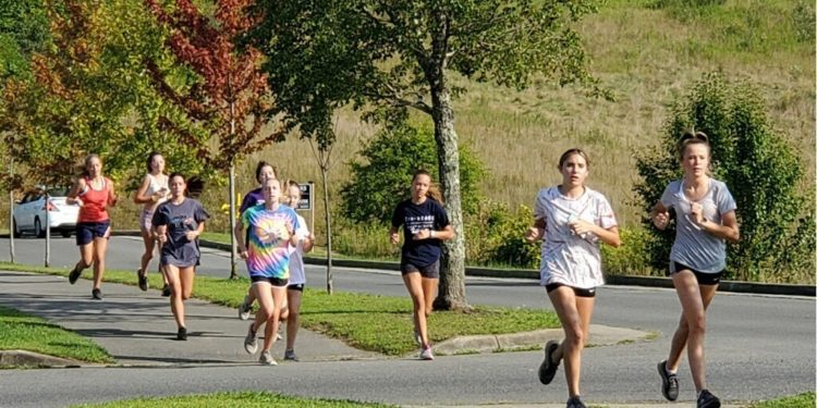 (Photo Courtesy of George Barbera)