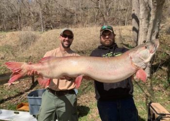 WVDNR fisheries biologist, Aaron Yeager (left), with Lucas King (right) holding King's record musky.