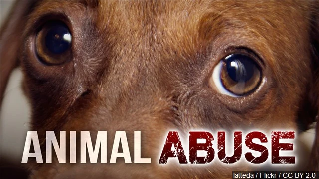 West Virginia House Bill Would Create Statewide Animal Abuse Registry