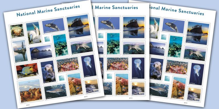 The set of 16 new National Marine Sanctuaries Forever® stamps feature scenes from NOAA’s National Marine Sanctuaries. Credit: NOAA, with images supplied by USPS.