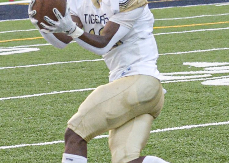 F. Brian Fetguson/Lootpress