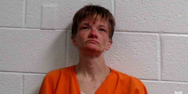 Suspects climb tree naked