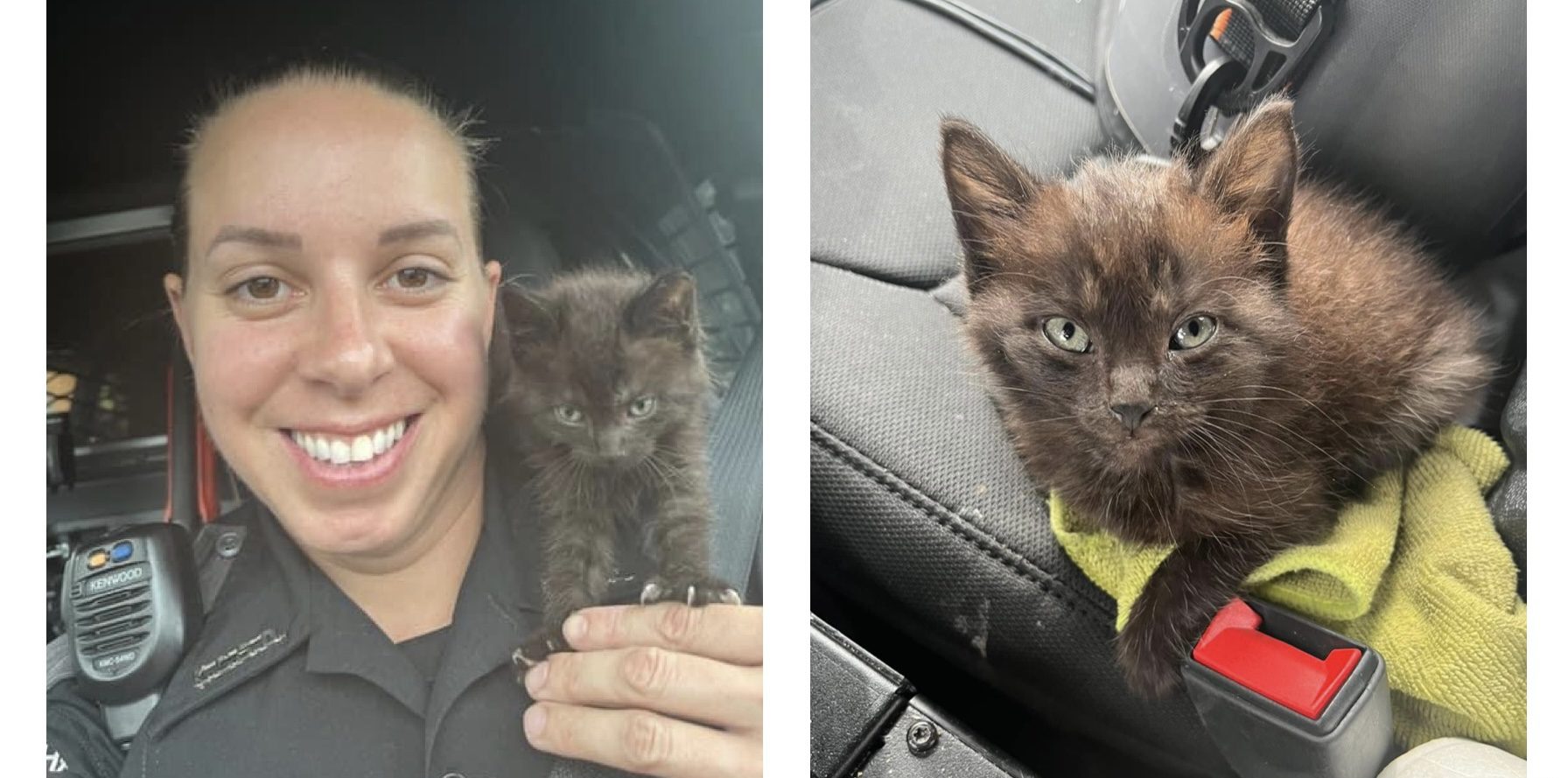 Kanawha County Deputy rescues kitten found with shoestring tied around