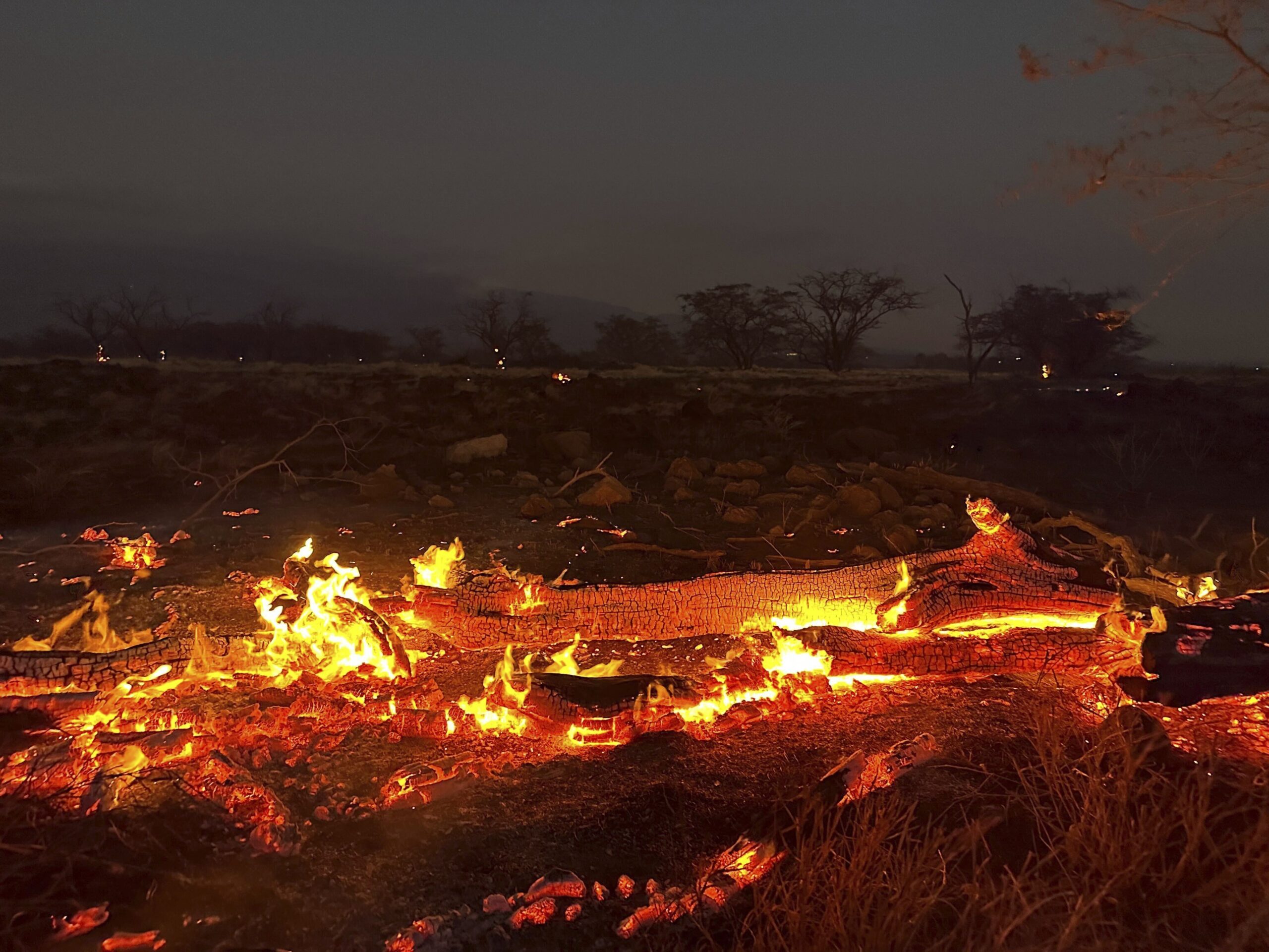 Maui residents had little warning before flames overtook their town. At  least 55 people died
