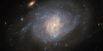 A NASA Hubble Space Telescope image of the spiral galaxy NGC 941.
ESA/Hubble & NASA, C. Kilpatrick
