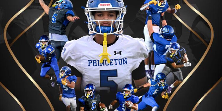 Graphic by Heather Belcher 
(Photos by Greg and Jonathan Barnett)