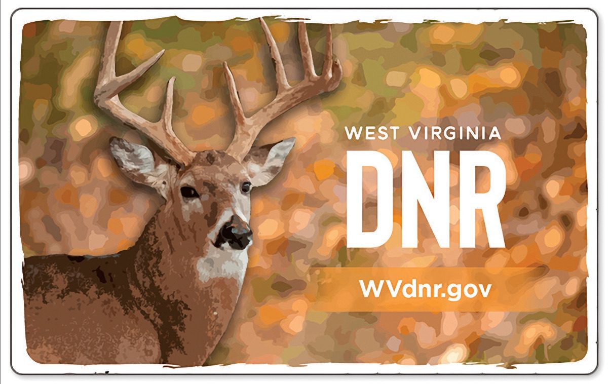 WVDNR announces 2024 hunting, trapping and fishing licenses are on sale now