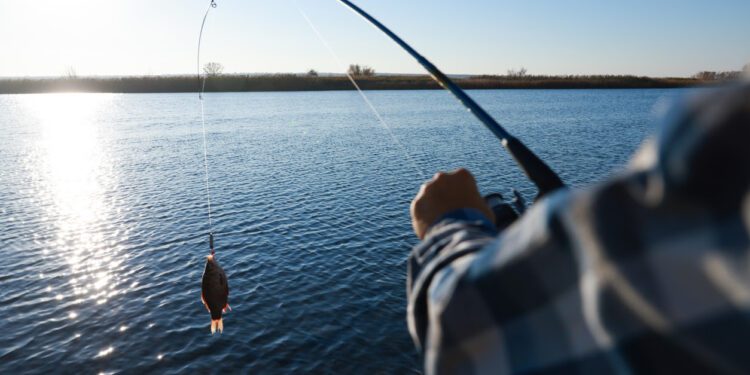 Fisherman catching fish with rod at riverside, closeup