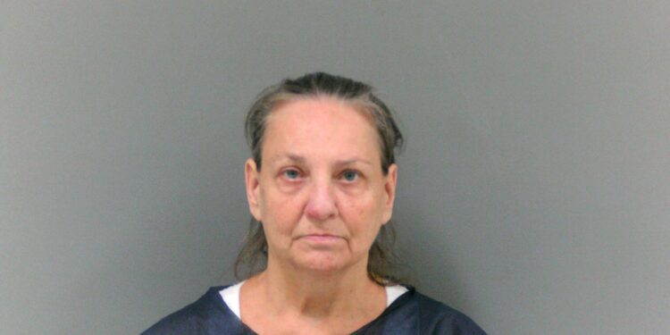 Sister fatally stabbed 18 times in McDowell County over 'nitpick'