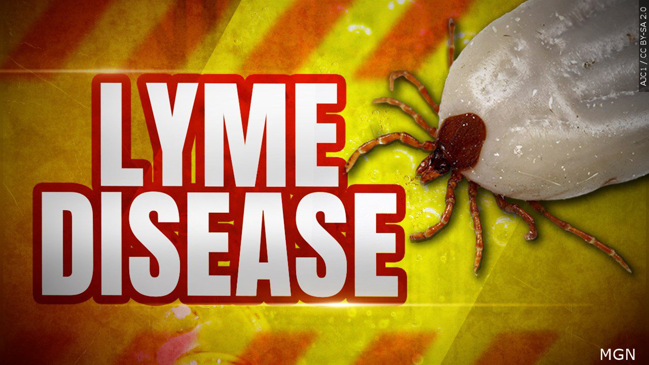 West Virginia sees sharp rise in Lyme disease as local health departments offer preventive treatment