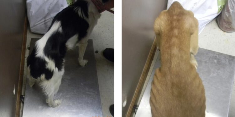 Photos Courtesy of City of Bluefield