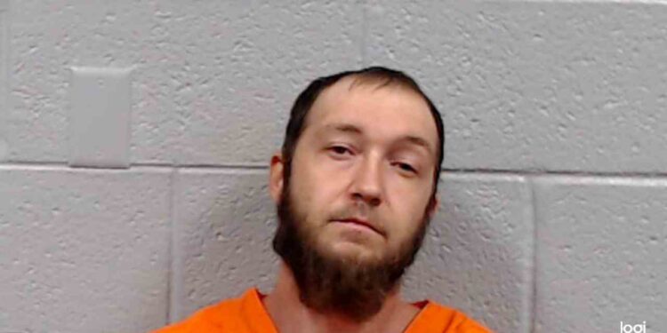 Man arrested after growing marijuana plants