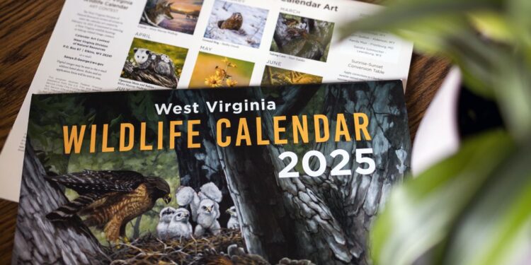 West Virginia 2025 Wildlife Calendar now available to purchase