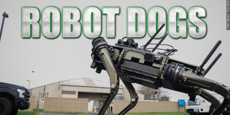 US Military Test Robot Dogs