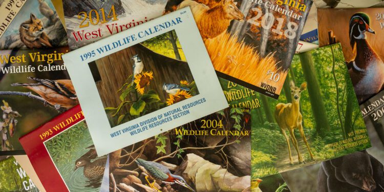 WVDNR seeks art for West Virginia Wildlife Calendar Contest