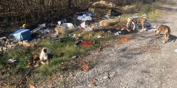 Photo Courtesy of Kanawha County Sheriff’s Office