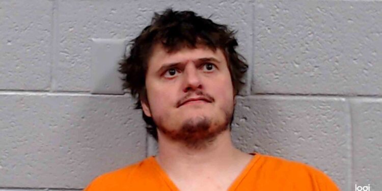 Man threatens mother with sword