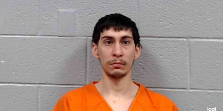 Man admits to sexually assaulting young child while mother was away