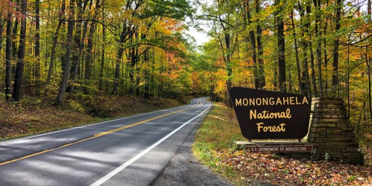 Monongahela National Forest