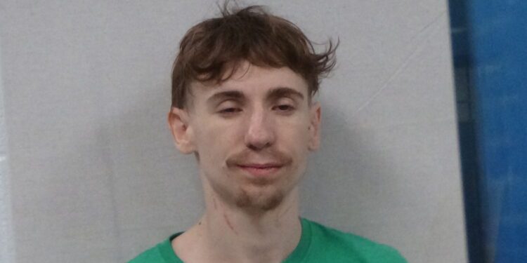 Man accused of assaulting mother and kicking police officer in the face