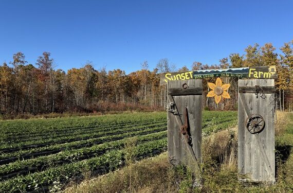 USDA Launches Grant Program to Boost Farmers’ Market Opportunities and Revenue