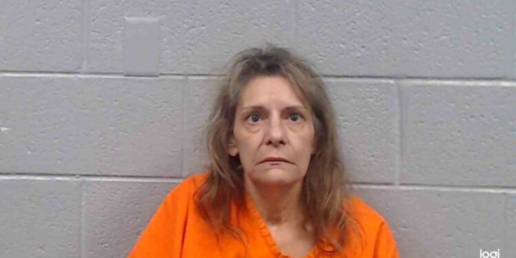 Charlton Heights Woman Arrested for Domestic Battery