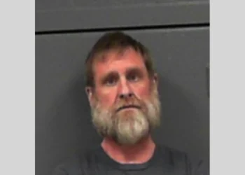 Ongoing domestic dispute leads to discovery of over 100 marijuana plants
