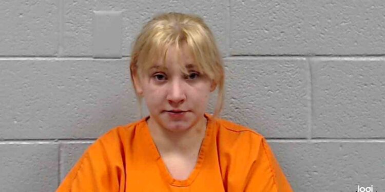 Woman Arrested for DUI and Child Neglect After Traffic Stop in Crab Orchard