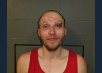 Man claimed robots replaced his family, wanted to shoot his dog to prove it