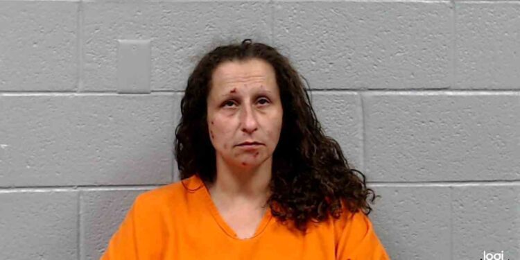 Two Arrested in Hinton for Trespassing and Theft After Being Caught at Vacant Home