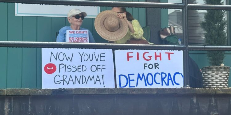 Protestors at the “No Kings” protest in Huntington | (Ally Layman - City of Huntington Councilwoman/Facebook)