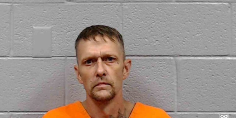 Man arrested after stealing a bicycle and a kitten