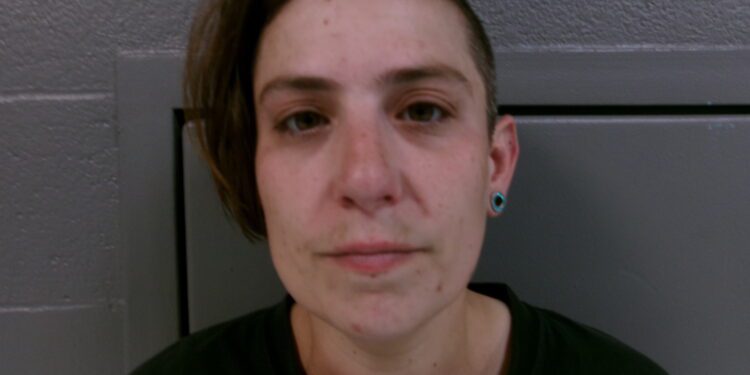 Woman Arrested After Alleged Domestic Disturbance, Property Damage, and Threats to Officer