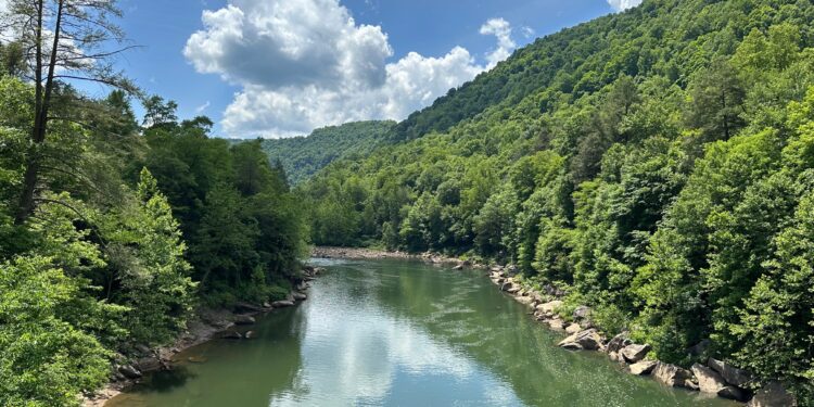 WVDEP's Roadsides in Bloom Calendar Submission Deadline Approaching