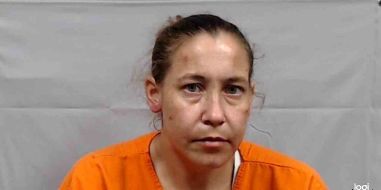 Summers County Woman Accused of Trying to Run Over Man in Yard Dispute