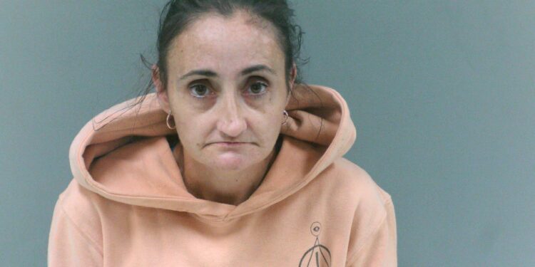 Woman Accused of Stealing Jewelry Worth $2,500 From Mother’s Home
