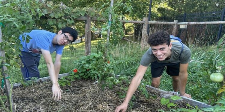 Photo Courtesy of WVU