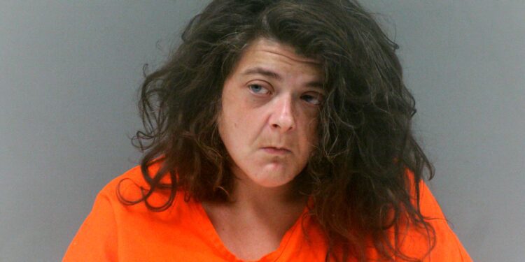 Deputies Detain Woman After Bizarre Roadside Incident