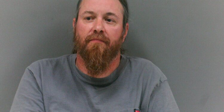 Man arrested after hitting a pedestrian and fleeing, said he thought he hit a "bird"