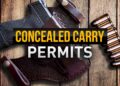 Giles County Launches Online Application System for Concealed Handgun Permits