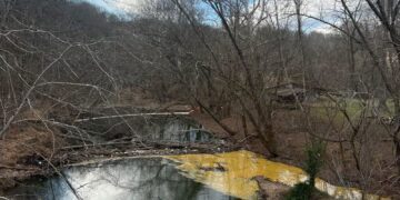 Erin Brockovich Steps In to Address Water Contamination Concerns in Wayne County