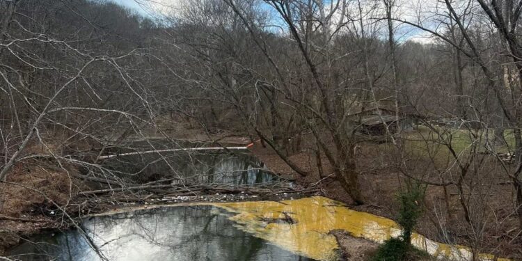 Erin Brockovich Steps In to Address Water Contamination Concerns in Wayne County