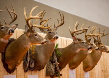 WVDNR to sponsor West Virginia Hunting and Fishing Show