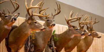 WVDNR to sponsor West Virginia Hunting and Fishing Show