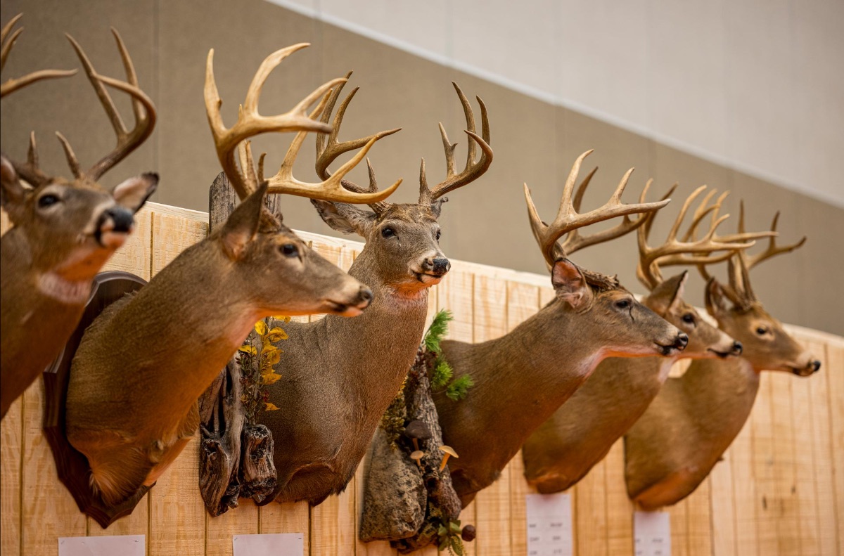 WVDNR to sponsor West Virginia Hunting and Fishing Show
