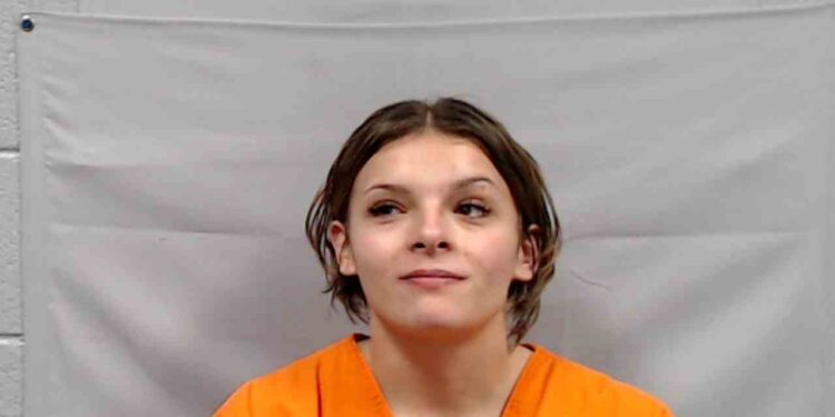 Teen Arrested After Early-Morning Domestic Incident in Lerona, Deputies Say