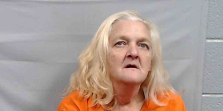 Woman Arrested After Burglary Caught on Camera in Fayette County