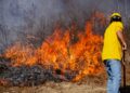 WV Spring Fire Season, Burning Restrictions Return March 1
