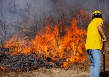 WV Spring Fire Season, Burning Restrictions Return March 1